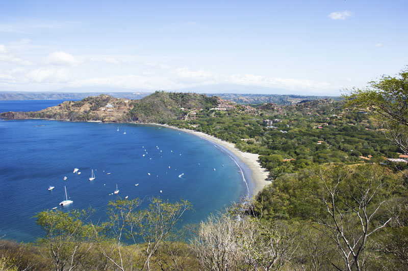 Papagayo