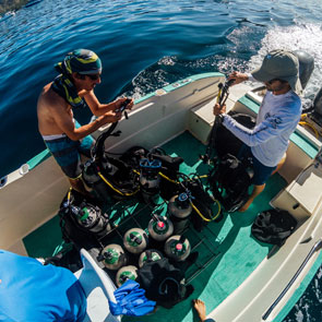 Scuba Papagayo