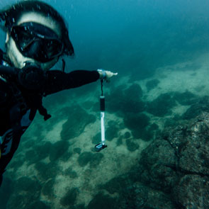 Scuba Diving Guide