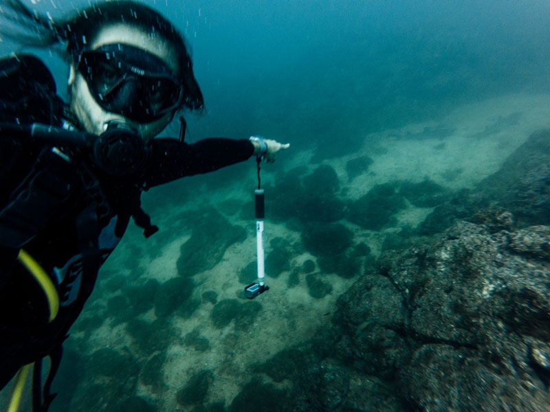 Diving Papagayo