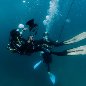 Scuba Divers