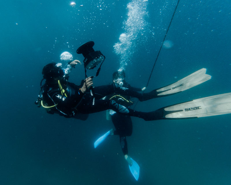 Diving Papagayo