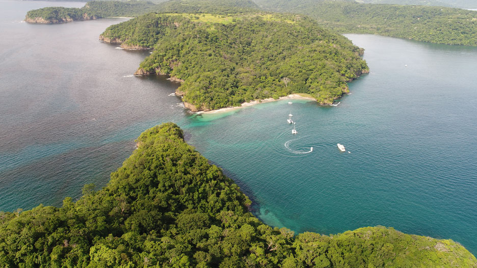 Scuba Diving and Sailing 