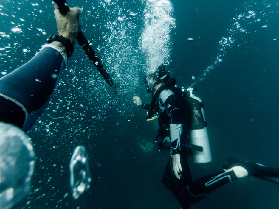 Diving Papagayo