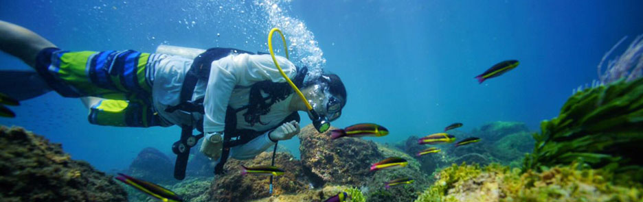 Islas Murcielago Islands