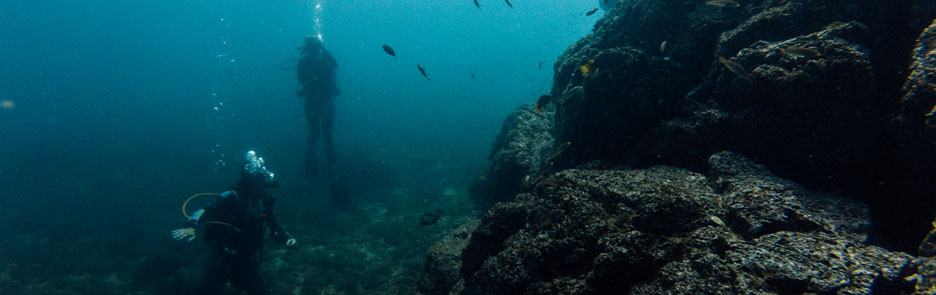 Local Scuba Diving