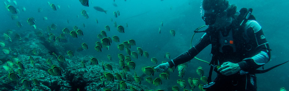 Local Scuba Diving