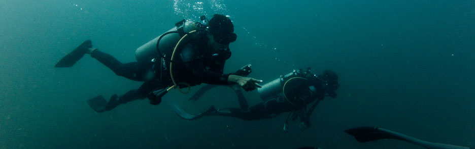 Local Scuba Diving