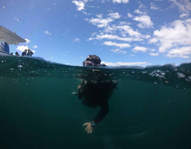 Local dives
