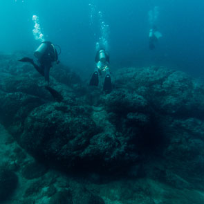 Coral reef