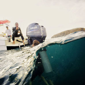Scuba Papagayo