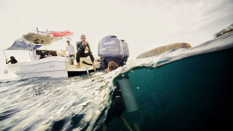 Divers Papagayo