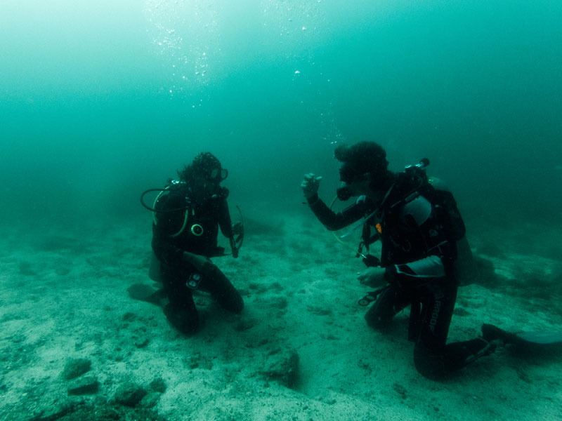 Scuba trips 