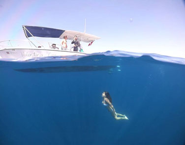 Snorkeling